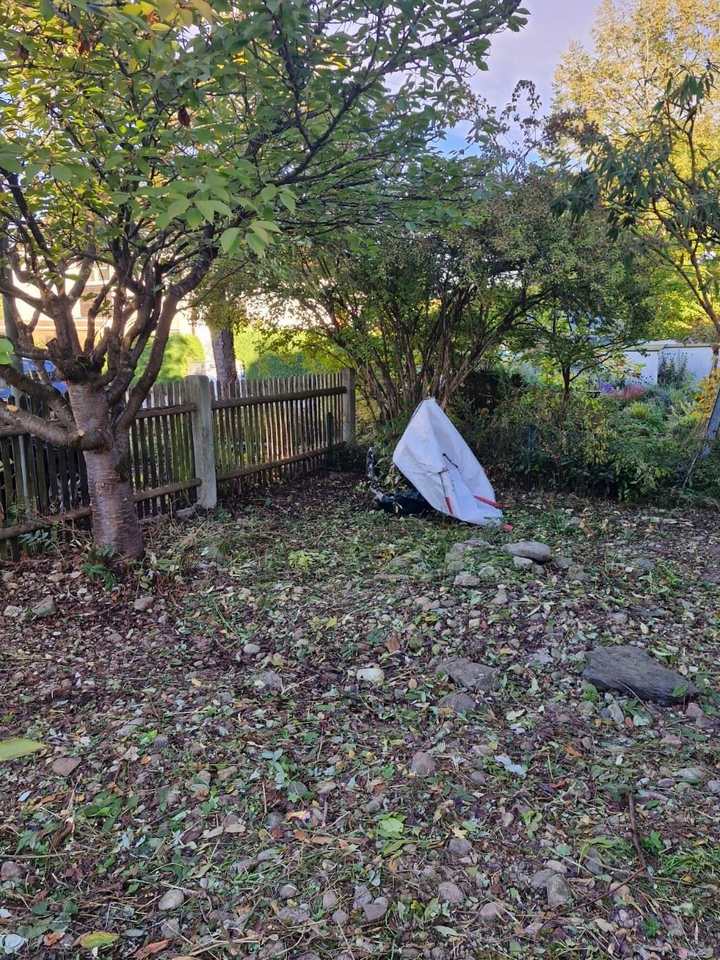Vorher: Gartenfläche voller Laub, Äste und Steine unter einem Baum