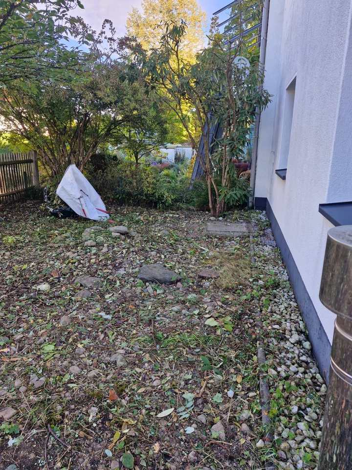 Vorher: verwilderte Fläche neben dem Haus