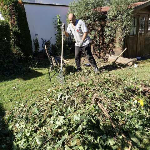 Zusammenrechen von Schnittgut im Garten