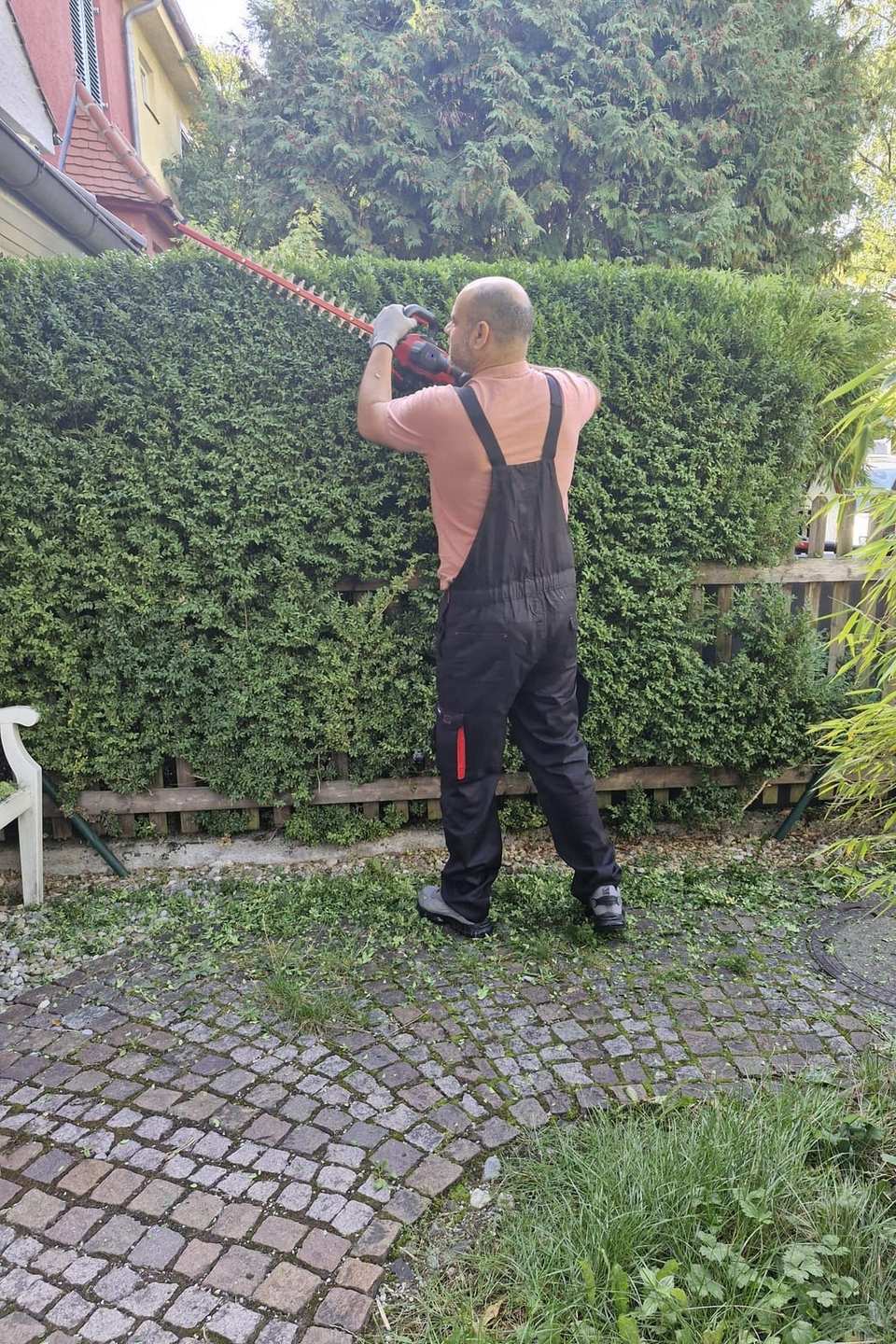 Gerader Schnitt an einer langen Hecke neben dem Pflasterweg