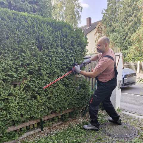 Heckenschnitt an einer Hecke direkt an der Straße