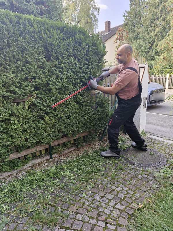 Heckenschnitt an einer Hecke direkt an der Straße