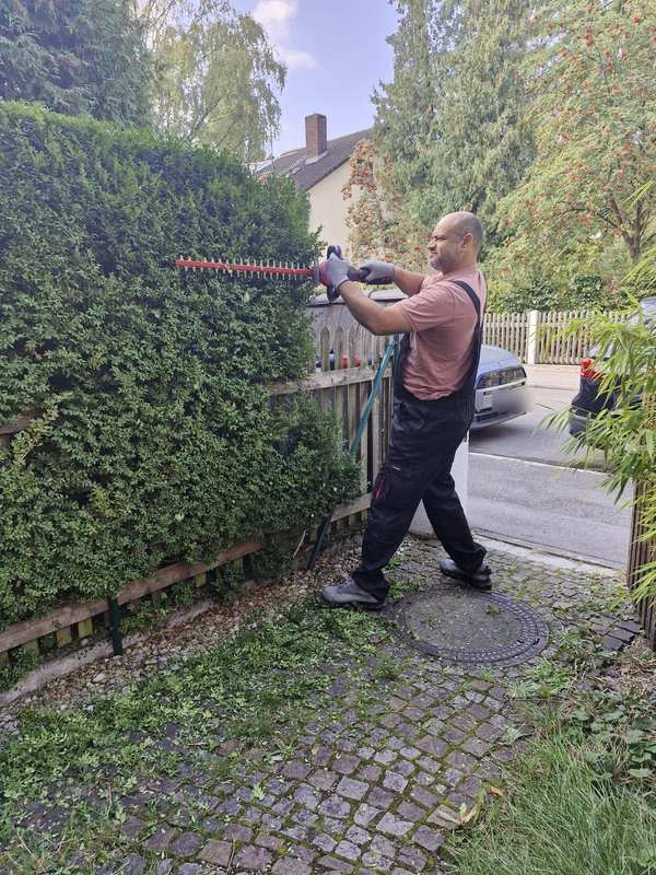 Aofok Nukhailawi kürzt eine hohe Hecke mit der Heckenschere