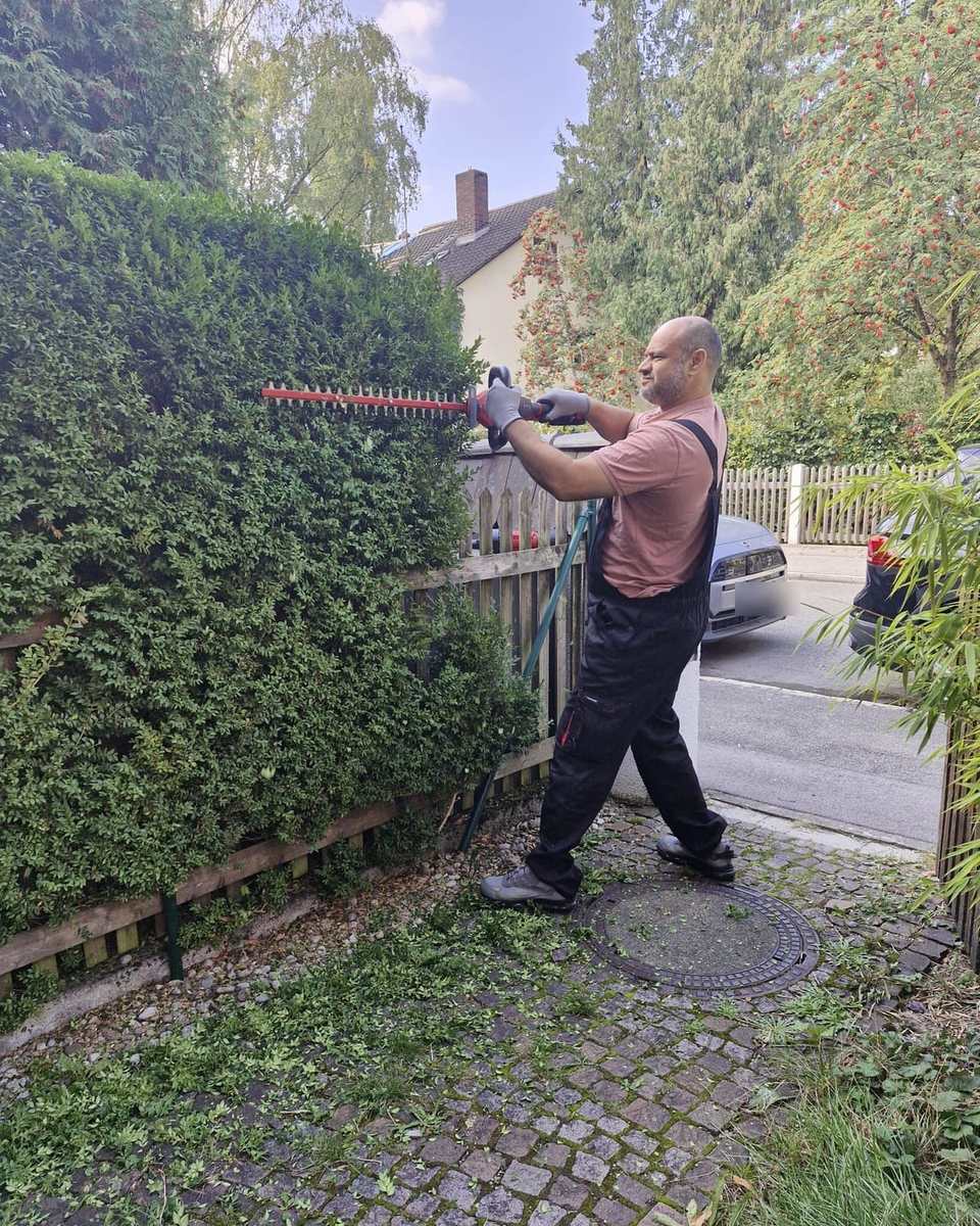 Aofok Nukhailawi kürzt eine hohe Hecke mit der Heckenschere