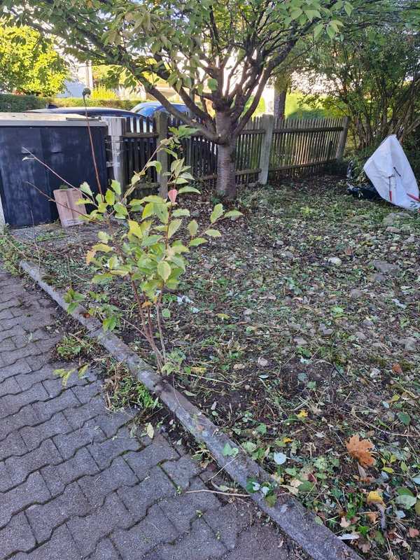 Herbstlaub und Schnittreste auf einer Gartenfläche