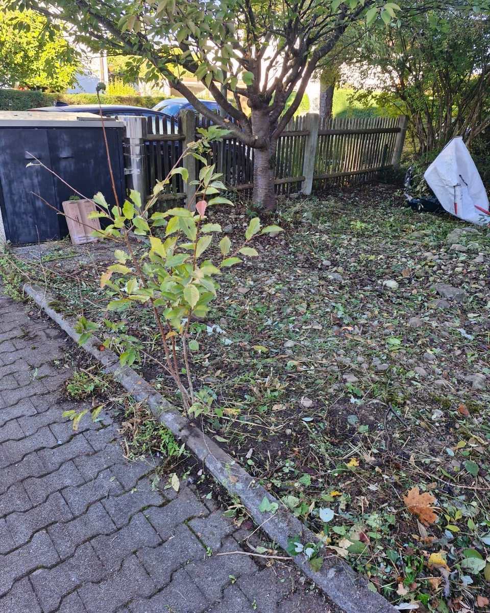 Herbstlaub und Schnittreste auf einer Gartenfläche