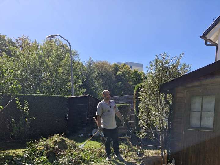 Rasenfläche während der Räumung, Schnittgut am Rand