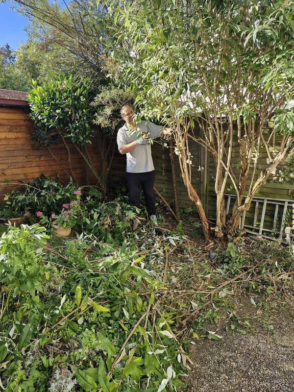 Strauchschnitt in einem Garten mit Holzzaun