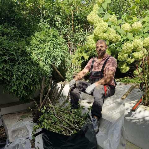 Gefüllter Gartensack nach der Entfernung eines Strauchs